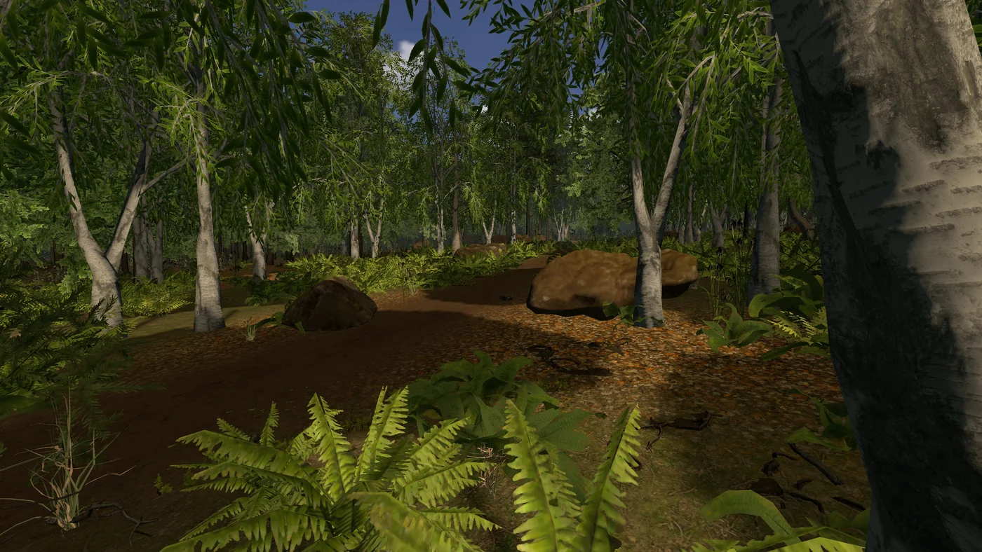 A birch grove in the procedural ForestVR world.